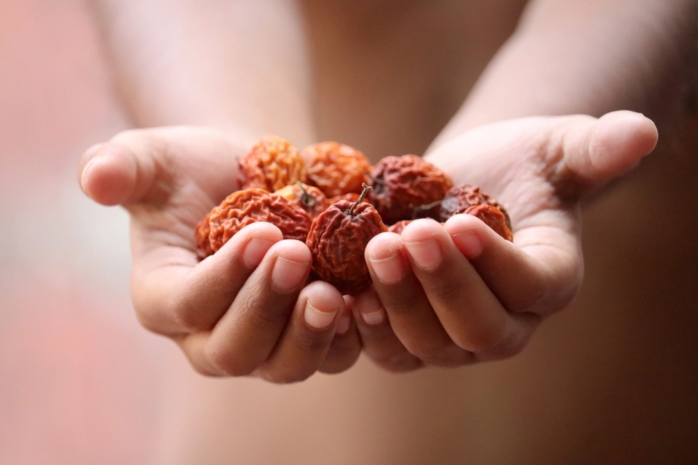 Dry,Jujube,Fruit,In,Hands,frugt,h&aelig;nder