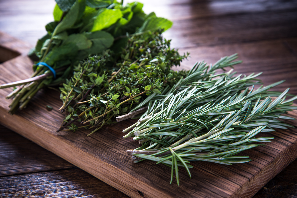 Herbs, krydderurter