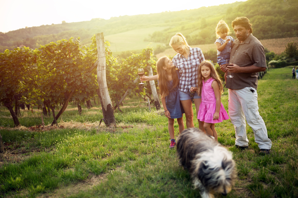 Happy,Wine,Grower,Family,glad,familie,vingård