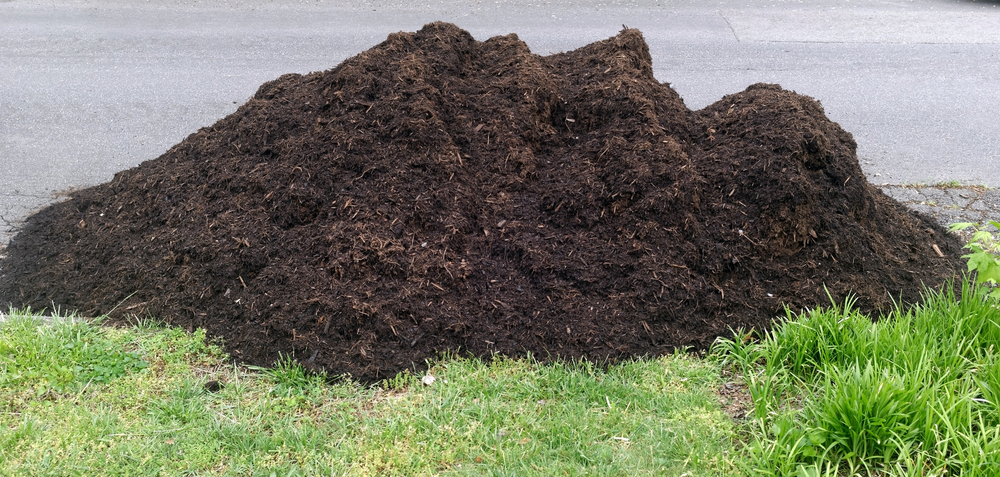 Pile,dirt,kompost,compost,jord
