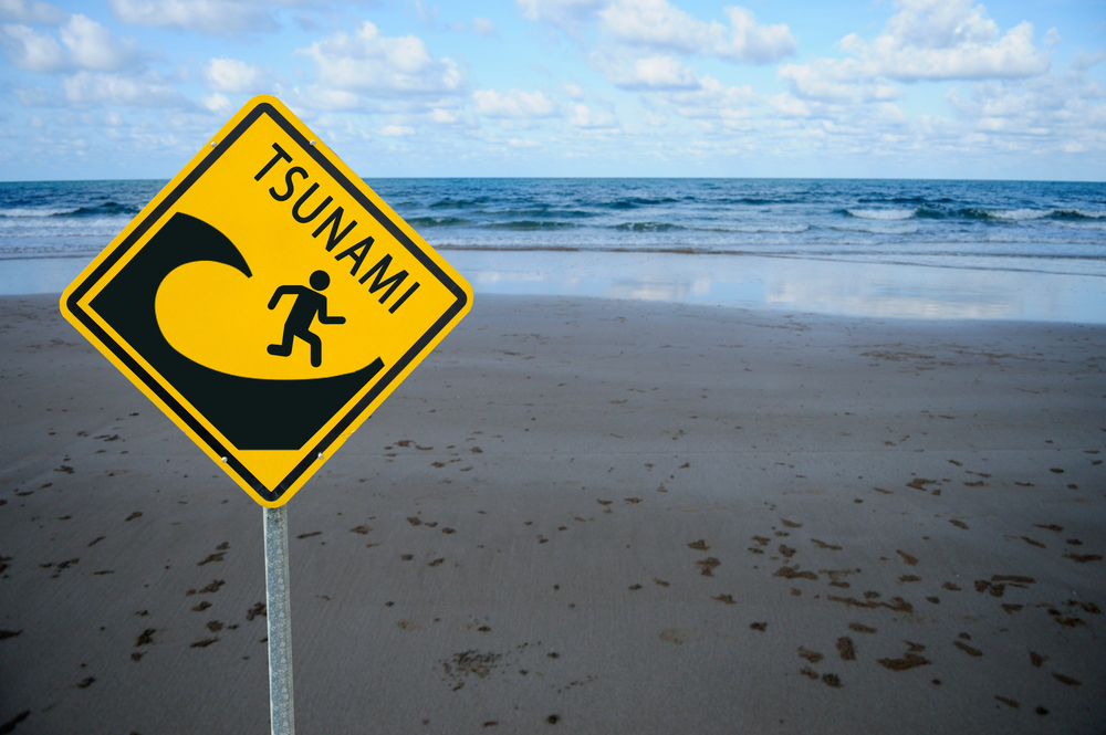 Sign,"tsunami,Warning",Sea,Beach