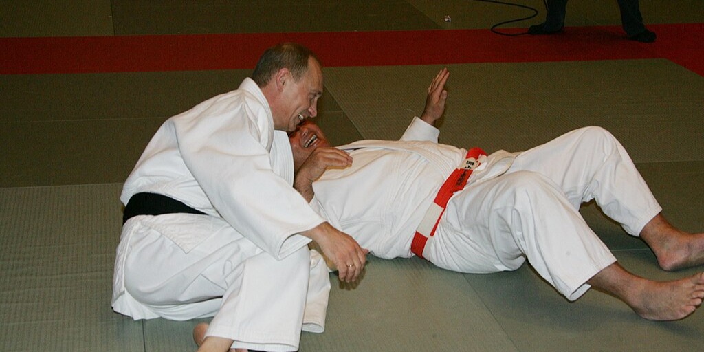 Vladimir Puin, judo
