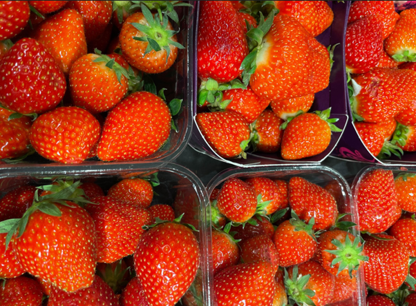 Jordbær, Strawberries