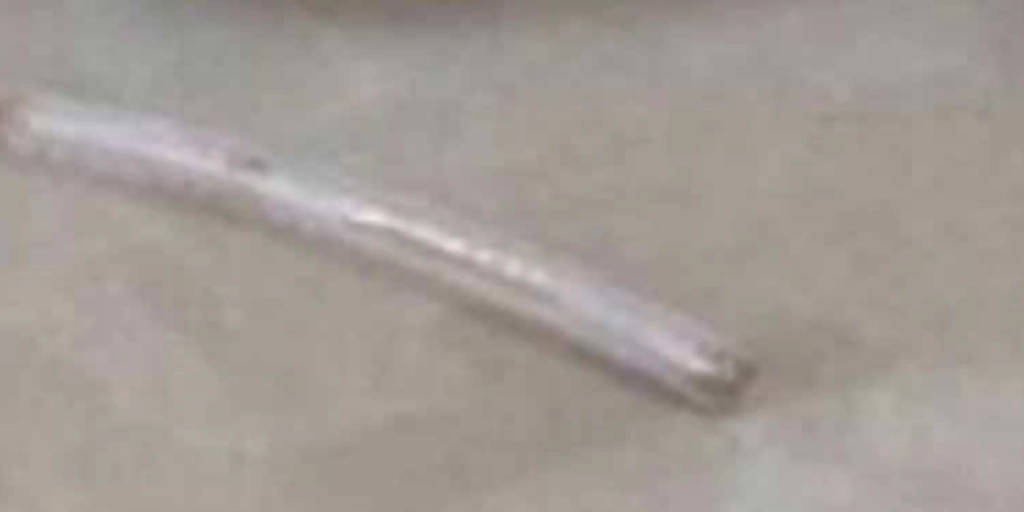 Fiskeben, Fish bone
