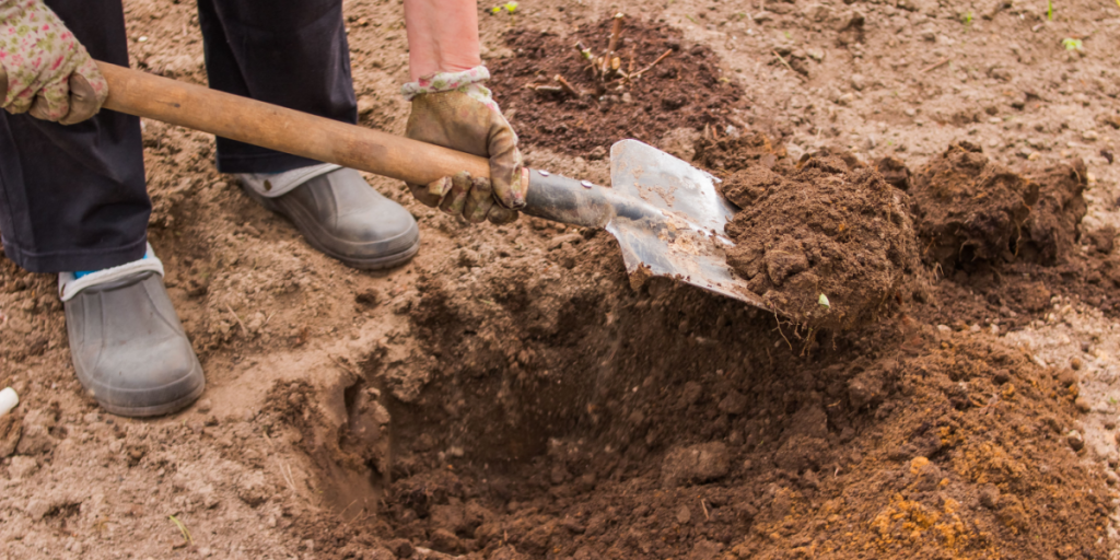 Grave, digging, backyard