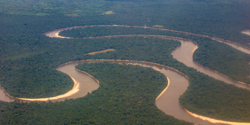 Amazon, rain forest