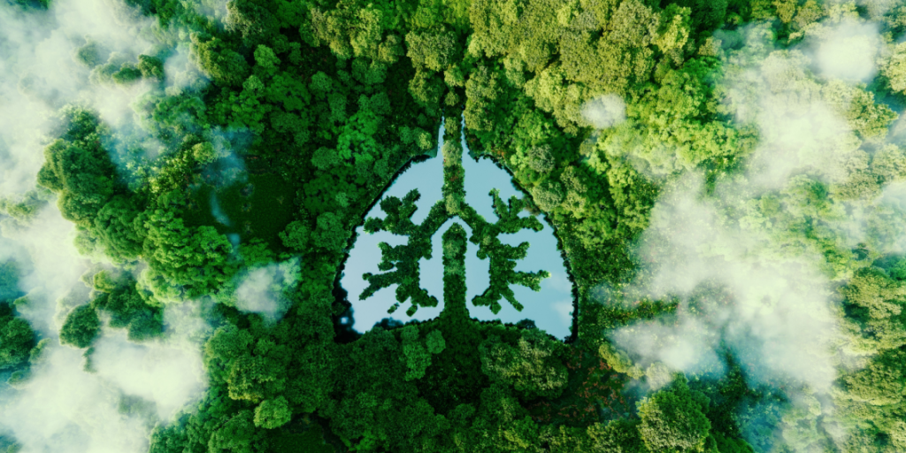 The Amazon, Lungs of the Earth
