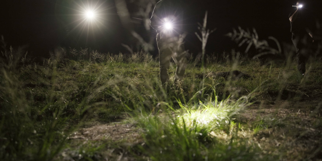 Flashlight, searching, police, investigation