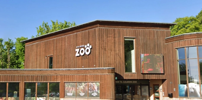 Aalborg Zoo deler stor nyhed: Til sommer sker det