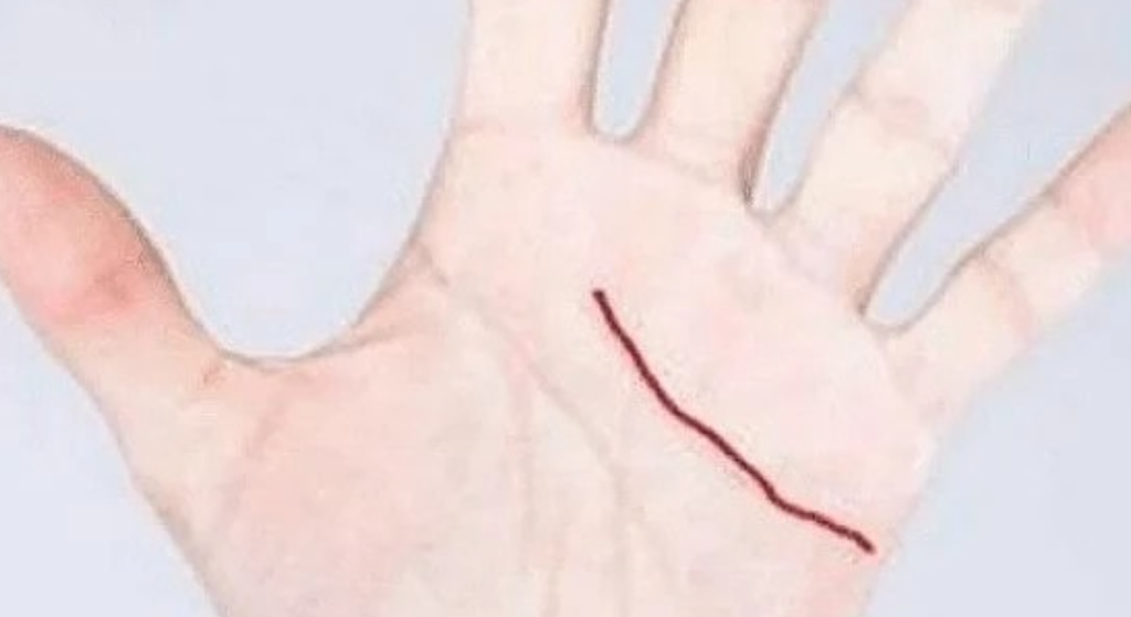 Handflata