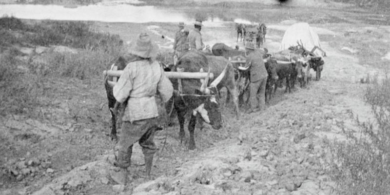 The Second Boer War