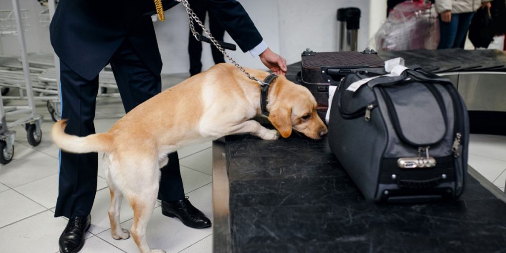 baggage airport