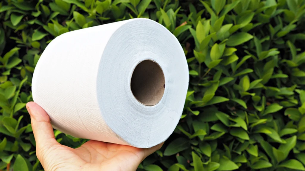 toilet paper, toalettpapir, toalettrull