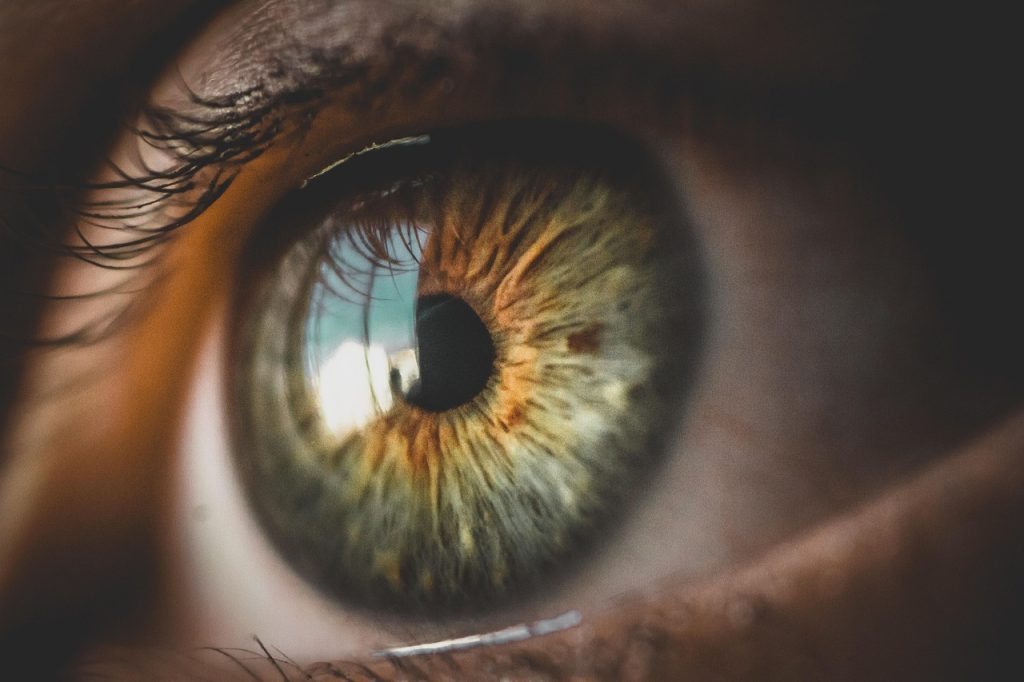 Pupil, eye/pupil øje