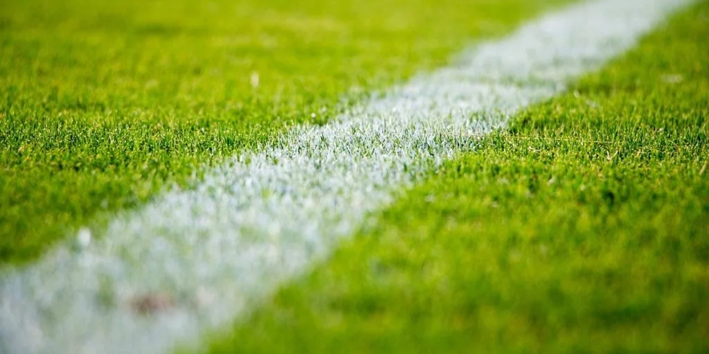 grass, gr&aelig;s