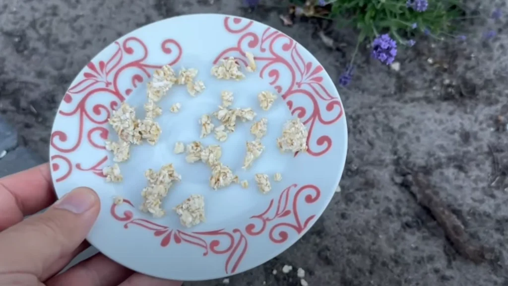 havregryn, oatmeal, plate, tallerken, hag