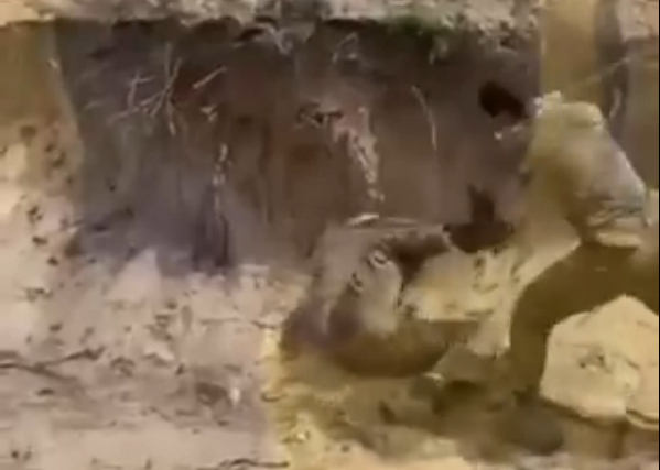 Horrifying Video: Russian Soldier Beats Comrade After Failed Mission as Morale Crumbles