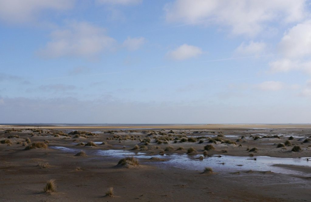 sea