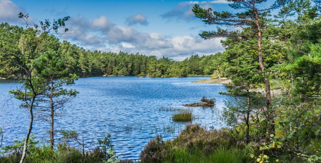lake, sø