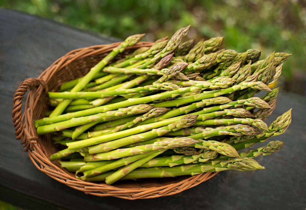 Asparagus.,Fresh,Asparagus.,Green,Asparagus,In,Basket.