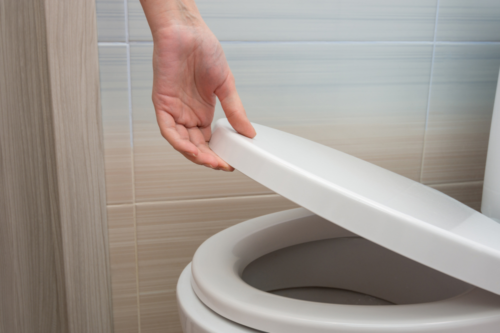 Toilet,Lid,toiletlåg