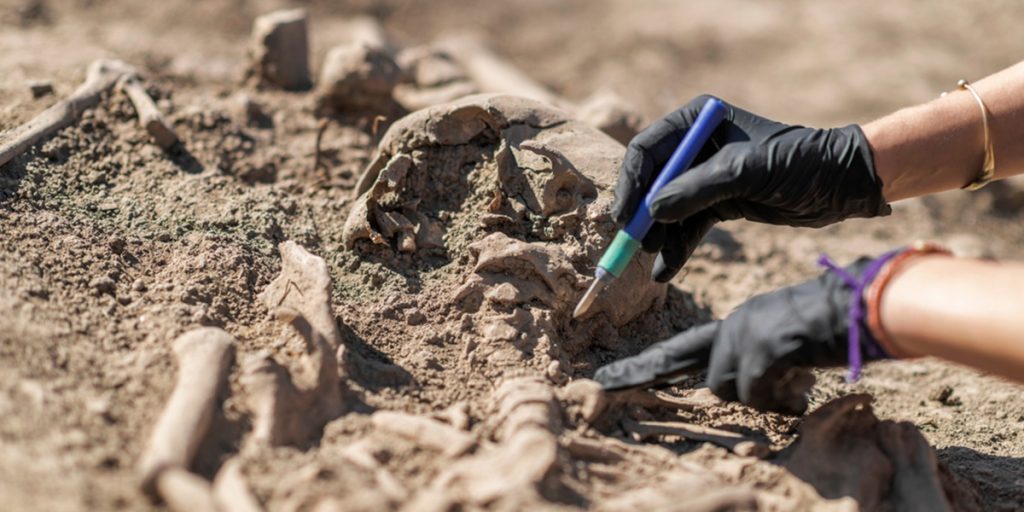 Archaeology,-,Excavating,Ancient,Human,Remains,With,Digging,Tool,Kit