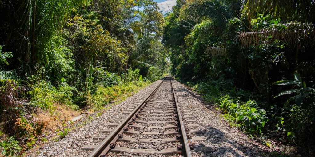 train tracks tog bane spor