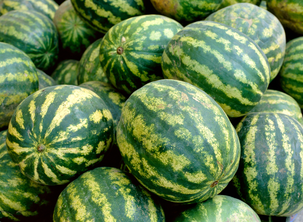 Watermelons, Green Melons, vannmelon, vandmelon, vattenmellon