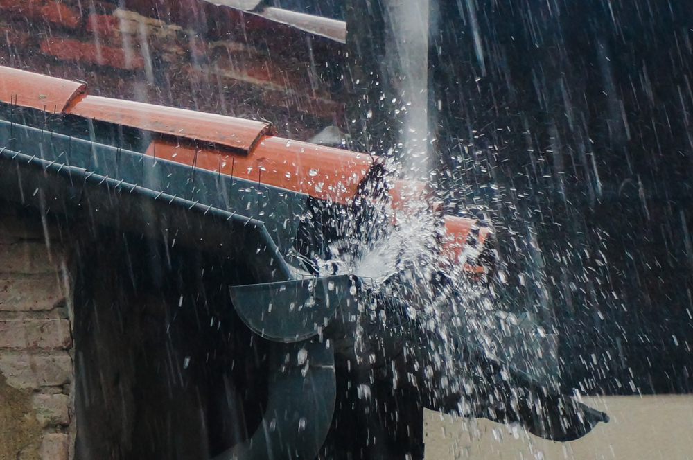 Why Rain Smells So Good—and What Tiny Arthropods Have to Do With It