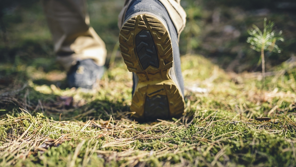 Man,Walks,In,The,Forest.,Hiking,Sneakers,Close-up
