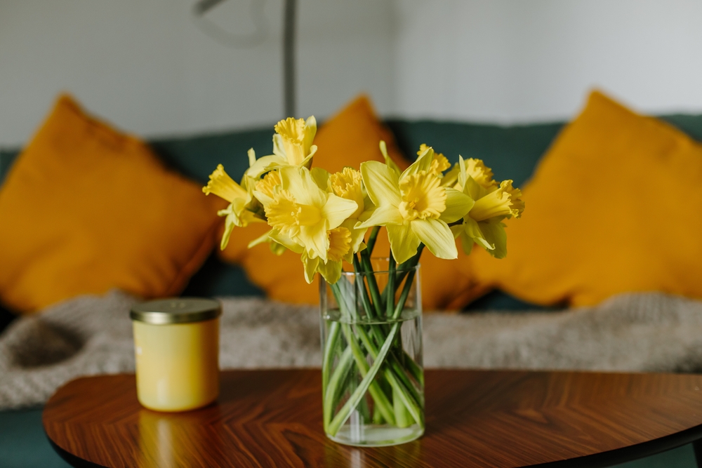 Daffodils