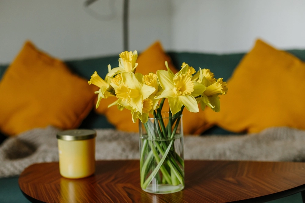 Daffodils
