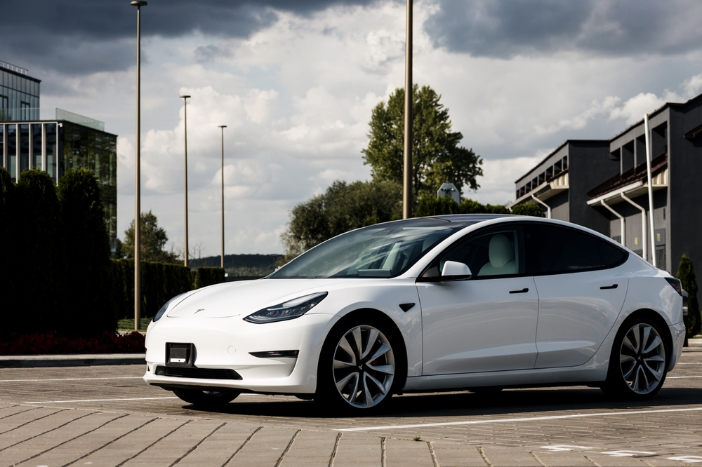 Tesla,model,y