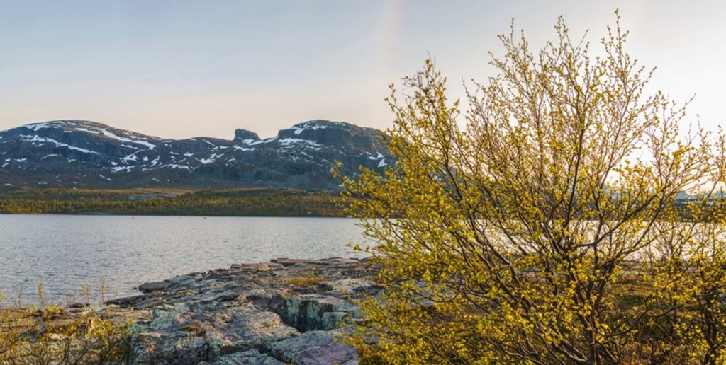 lake, sø