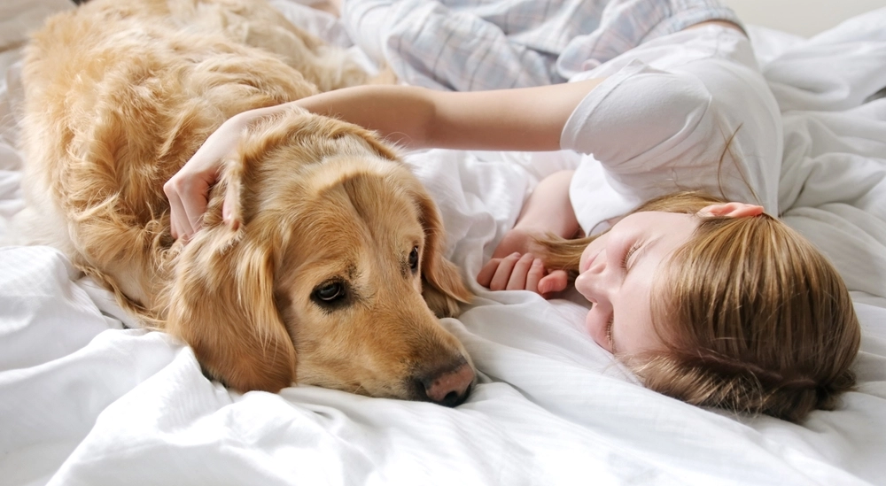 Girl,Golden,Retriever,Dog,pige,hund