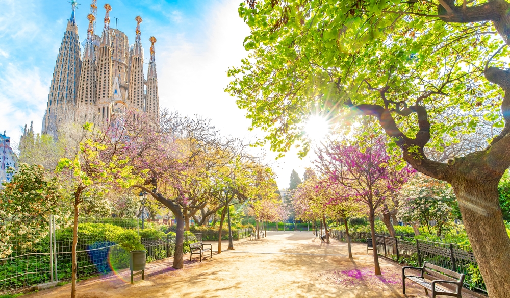 Spring,Park,,Barcelona,City,forår