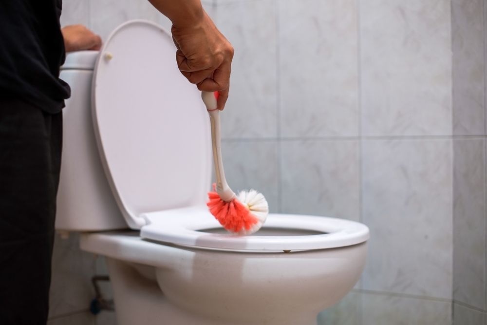 Wc,Housekeeper,Cleaning,toilet brush, Toalettbørste