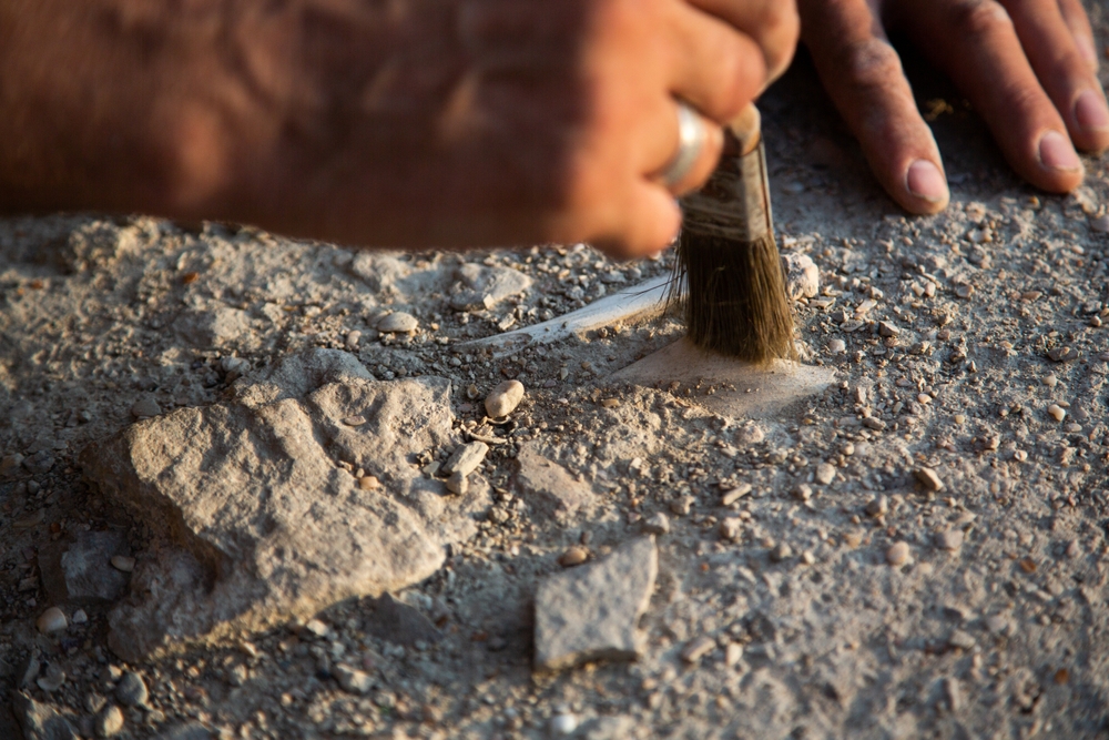 An,Archaeologist,Cleans,A,Found,Artifact,In,The,Form,Of
