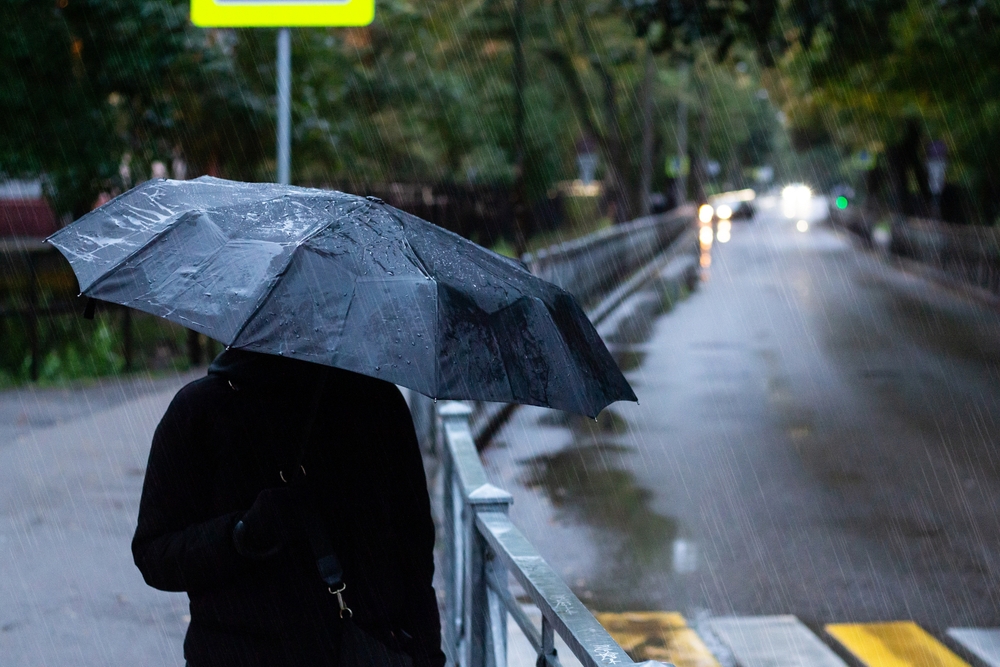 Umbrella, paraply