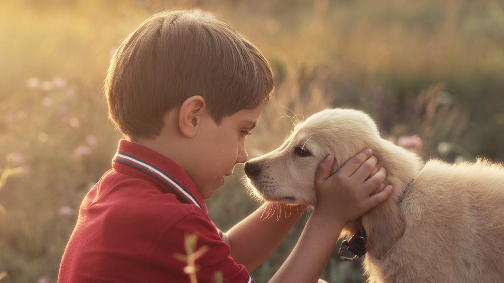 Cute,Little,Boy,Talking,With,Golden,Retriever,Puppy,On,Countryside