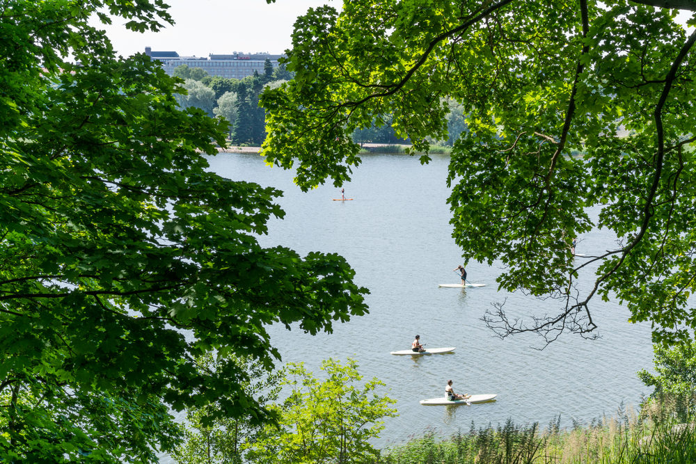 Stand,Up,Paddel,Boards,Lake,Finland,Helsinki