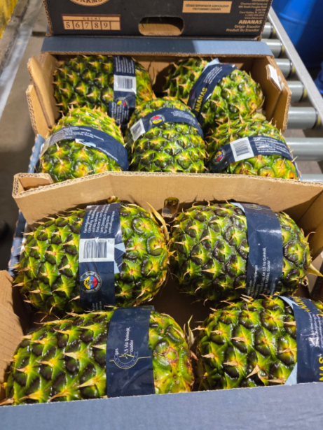 Ananas, Salling Group