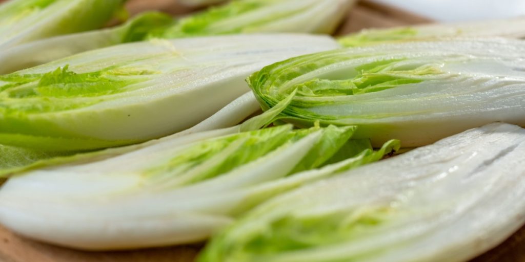 Chicory