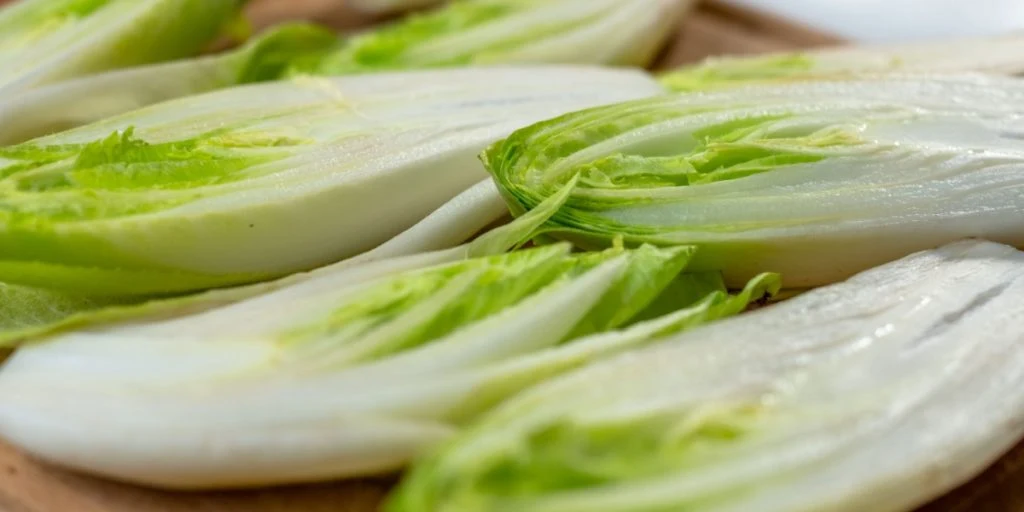 Chicory