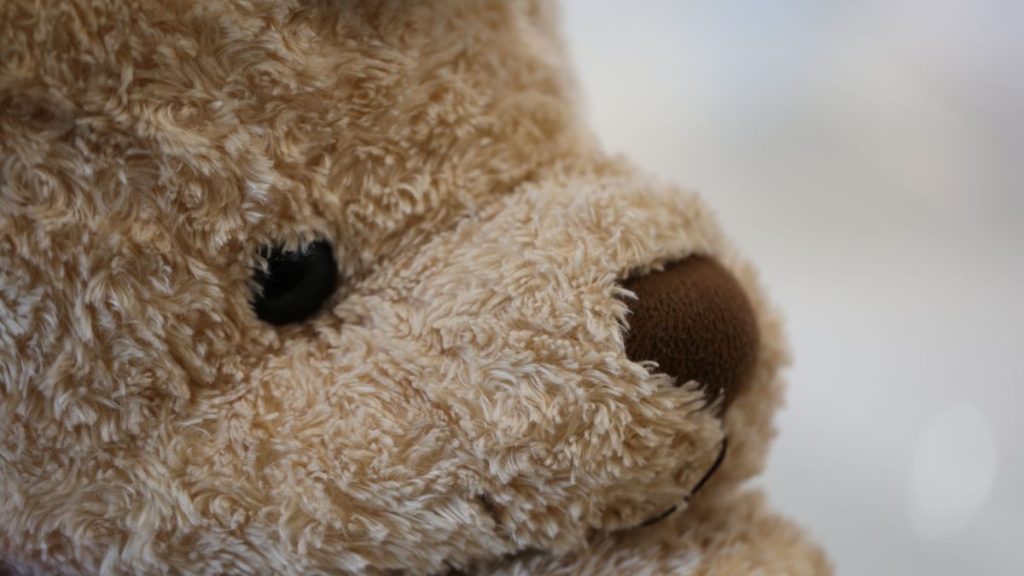 Close up teddy bear