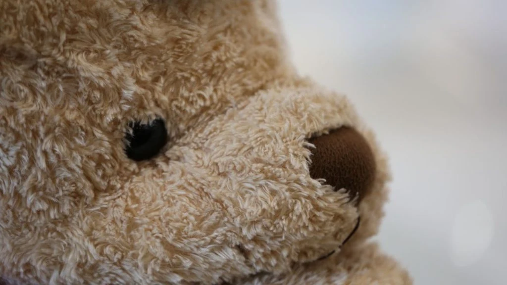 Close up teddy bear