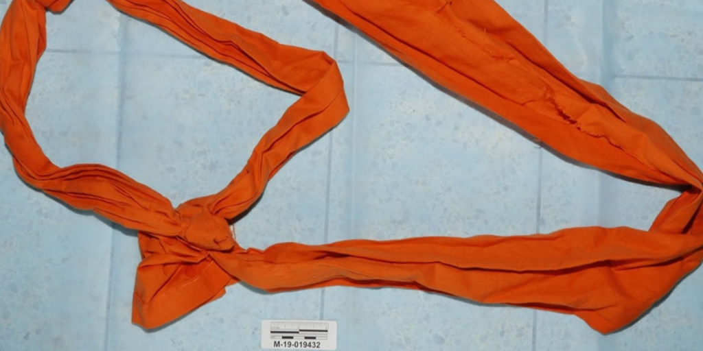 Jeffrey Epstein, noose