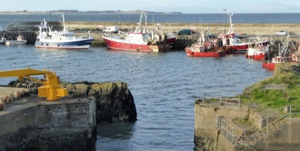 Port_Oriel fishing harbor
