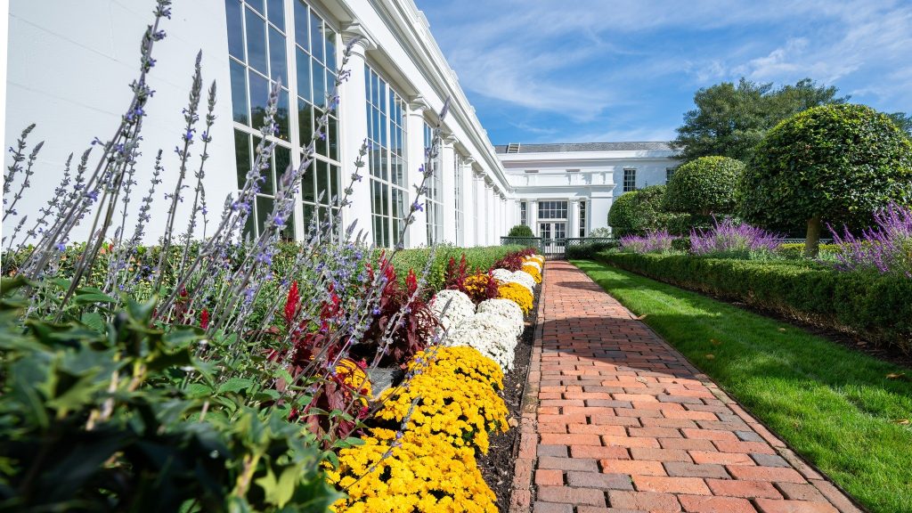 Flowers at the White House Rose Garden in Spring