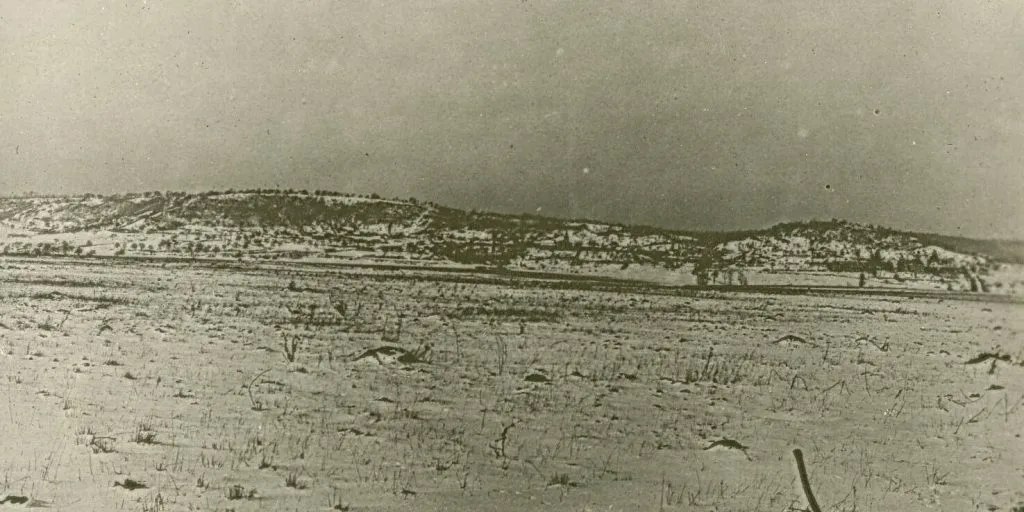 Hill 223
